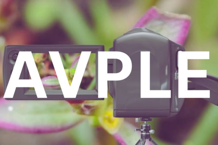 Know About Avple & How To Download Videos From Avple TV