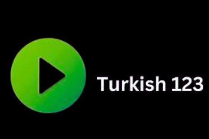 Turkish123 - Watch Free Turkish Series